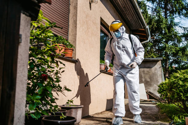 Pest Prevention Services in Le Claire, IA