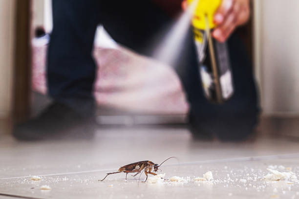 Best Pest Control Near Me in Le Claire, IA